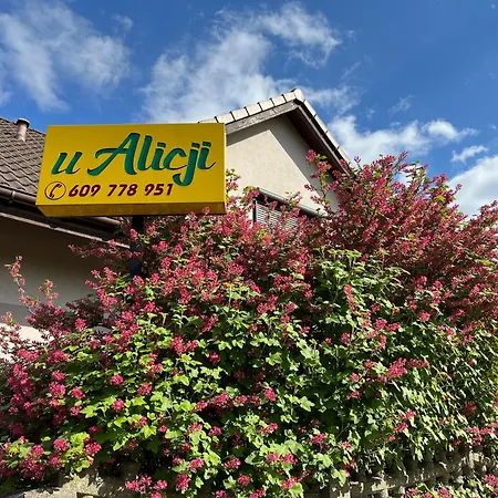 Apartment U Alicji Goluchow