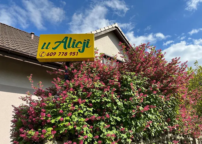 Apartman U Alicji Gołuchów