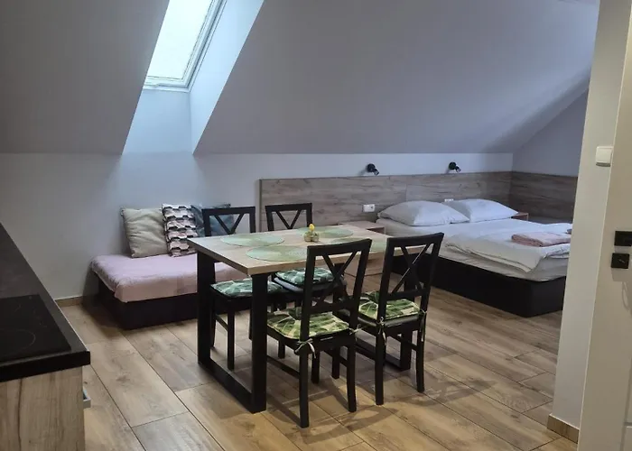 Apartment U Alicji Goluchow