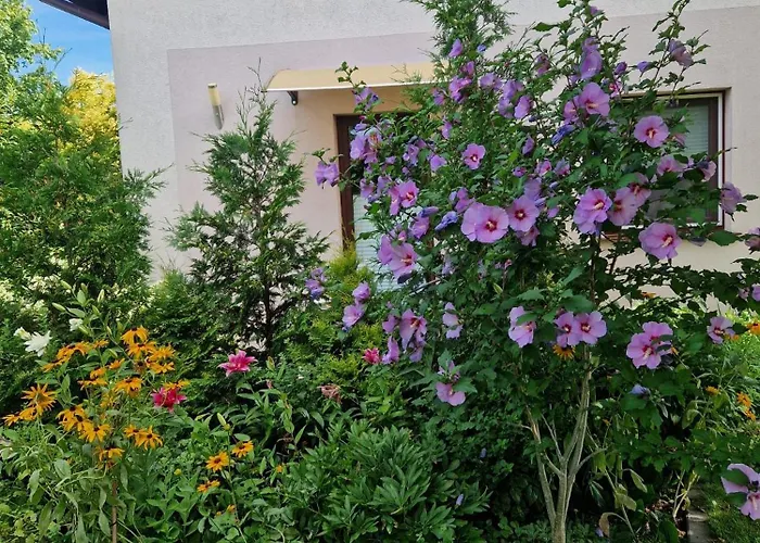 U Alicji Apartment *