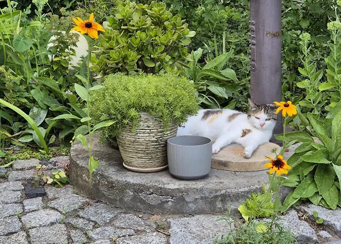 U Alicji * Gołuchów